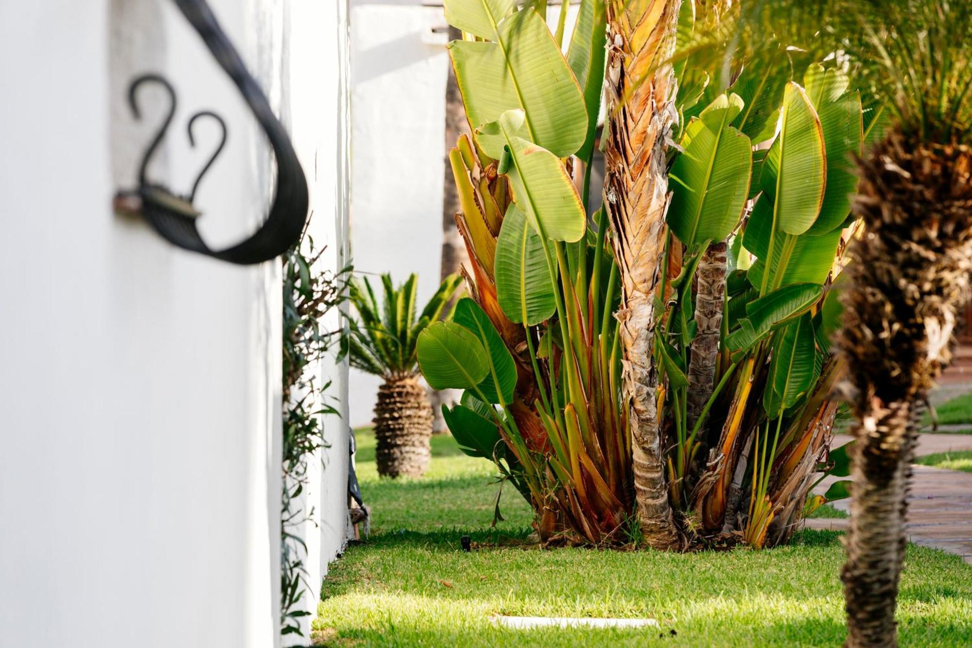 Hd Parque Cristobal Tenerife Resort Playa de las Americas (Tenerife)